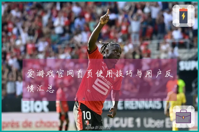爱游戏官网首页使用技巧与用户反馈汇总