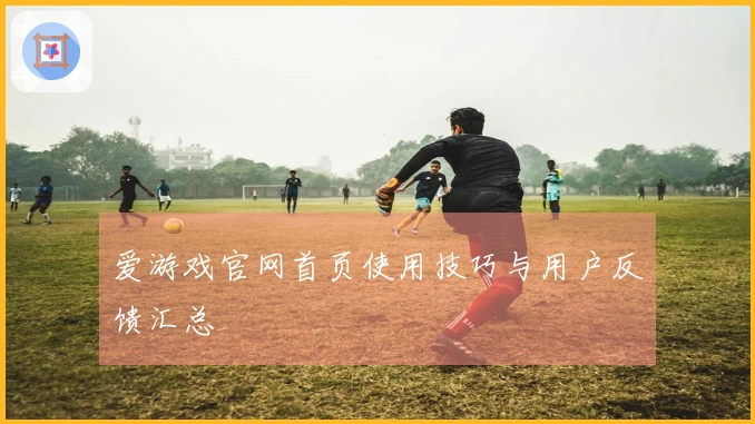 爱游戏官网首页使用技巧与用户反馈汇总